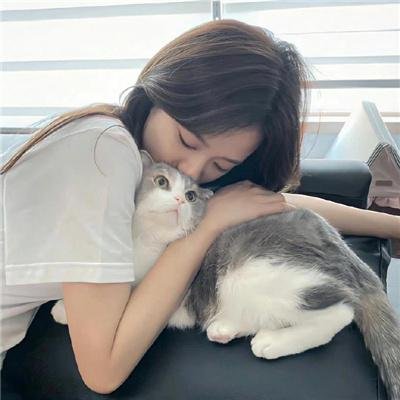 家有囍事